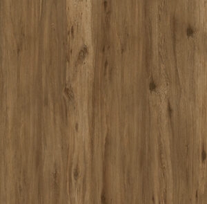Boreal Umber